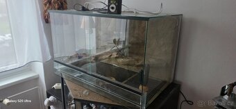 Terárium 80x50x50 - 3