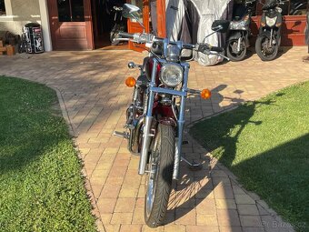 Suzuki VS800GL Intruder - 3