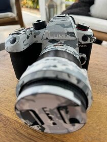 Panasonic Lumix GH6 + Leica DG Vario-Elmarit 12-60 mm f/2.8- - 3