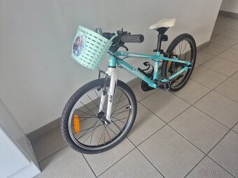 Canull 20 air - 3