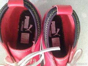 Puma - 3