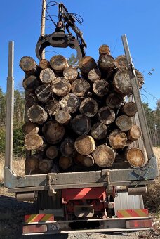 Prodám tvrdé a měkké palivové dřevo. Možnost dopravy - 3