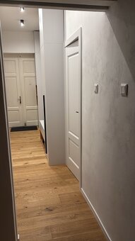 Dveře DRE SUPREME HEMPTON 3 - 3