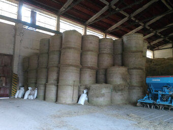 Brambory, Seno, Pšenice, Ječmen, Oves - 3