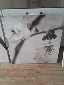 Tridilny ikea obraz - 3