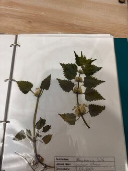 Herbář - 3
