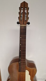 Jazz kytara no name - 3