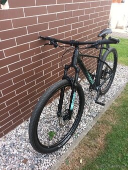 ORBEA ALMA - 3