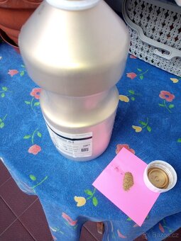 BRONZOVÝ PRÁŠEK - 3