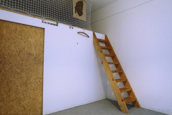 2+kk na Letné, Veverkova - 3