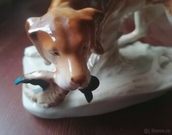 Lovecký pes s kačerem - 3