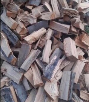 Palivové dřevo tvrdé - 3