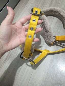 Ohlavka eskadron Vintage gold - 3