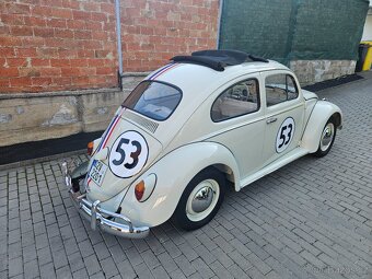 VW Brouk 1963 - Herbie - 3
