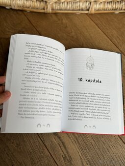 Kniha- Rychlí jako vítr - 3
