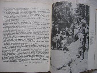 Motokros JAWA ČZ - 3