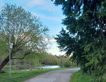 Pozemek, Dobříš, Rosovice - 3
