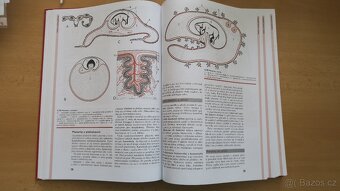Morfologie Hospodářských zvířat - F.Marvan - 3