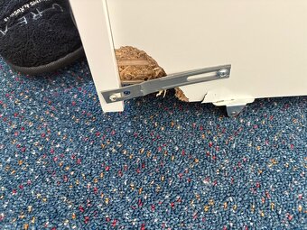 Dětská postel 80x200 cm - 3