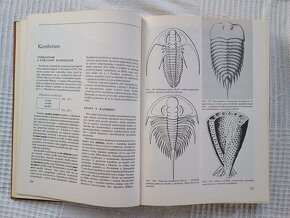Stratigrafická a historická geológia, Mišík, Chlupáč, Cicha - 3