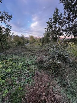 Prodej lesa 880m2 Radkovice - 3