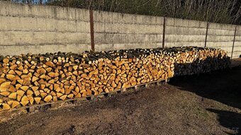 Palivové dřevo suché - 3