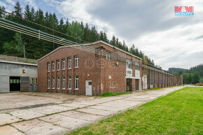 Pronájem výrobního objektu, 2256 m², Rotava - 3