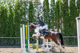 sportovní pony kat.B - 3