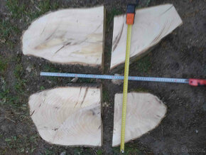jasanové desky z rozvidlení kmenu, vhodné na mísy, síla 6cm - 3
