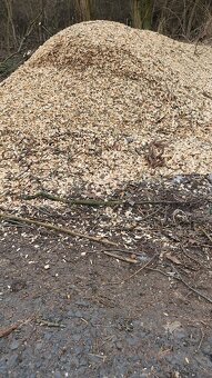 Dřevní štěpka - 3