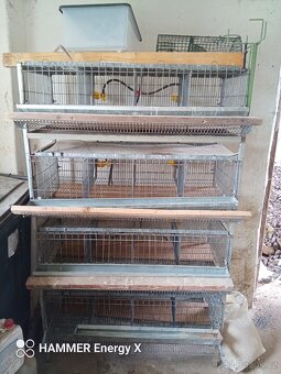 Klec na křepelky - 3