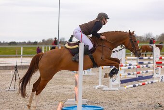 Líbivá ryzka na prodej - 3