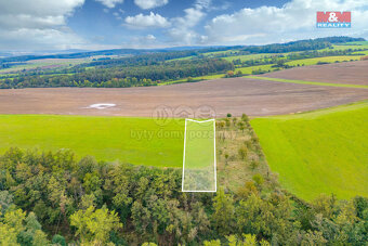 Prodej louky, 4161 m², Spálené Poříčí - 3