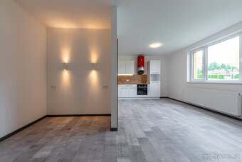 Pronájem, byt 1+kk, 54 m², Plzeň - Bolevec, ul. Plaská - 3
