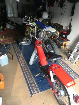 Babeta 207 - 3