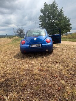 VW New Beetle - 3