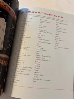 Zažít Alpy - Meredith Erickson - 3