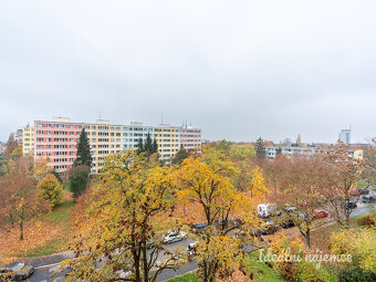 Pronájem bytu 2+kk, Pujmanové, Podolí, 39 m2 - 3