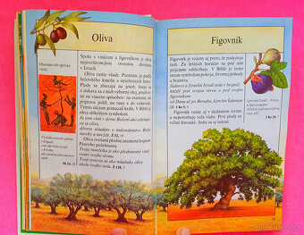 Odkrývání světa Bible. - 3