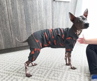 Maskáčový overal pro psy teplá bavlna mikina 48cm - 3