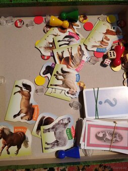 Dostihy a sázky junior - 3