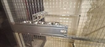 Voliéra pro papousky - 3