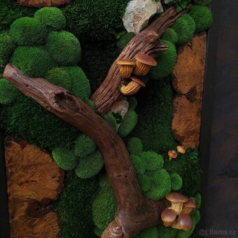 Mechový obraz / obraz ze stabilizovaného mechu - 3