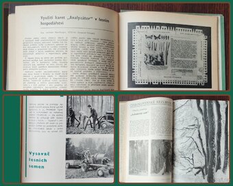 Časopis Lesnická práce - r. 47,62-71 (archiv) - 3