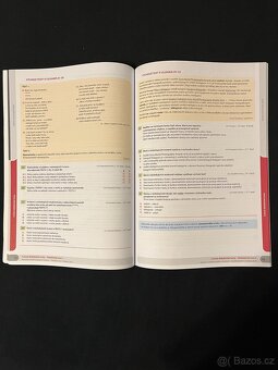 Maturita z českého jazyka a literatury - 3