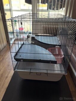 Klec Savic Freddy 2 - 3