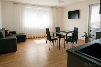 Prodej bytu 2+kk, 57 m² – s balkónem, novostavba v Plzni Pec - 3