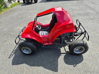 Buggy Havel - 3