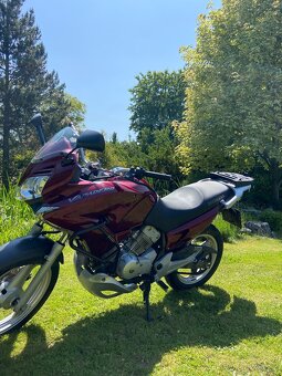 Honda Varadero XL 125ccm A1 - 3