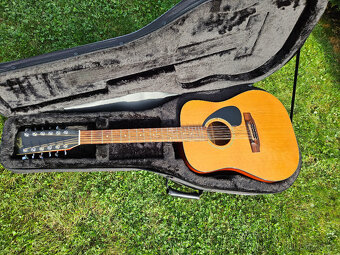 Celomasivní akustická 12 strunná kytara FURCH - 3